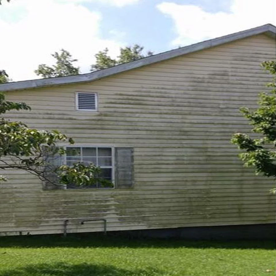 House siding before cleaning